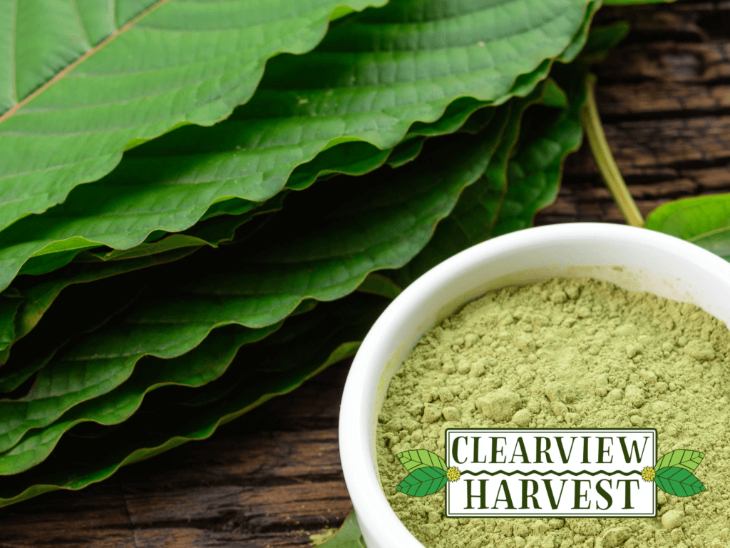 Clearview Harvest logo over kratom powder and fresh kratom leaves